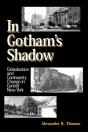 In Gotham'S Shadow - Preview