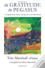 Capa do artigo In Gratitude To Pegasus