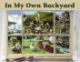 In My Own Backyard - Preview