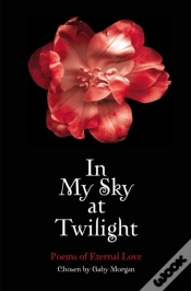 Capa do artigo In My Sky At Twilight