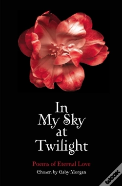 Capa do artigo In My Sky At Twilight