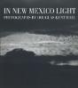 In New Mexico Light - Preview