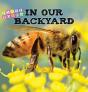 In Our Backyard - Preview