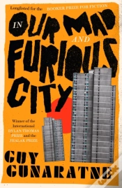 Capa do artigo In Our Mad And Furious City
