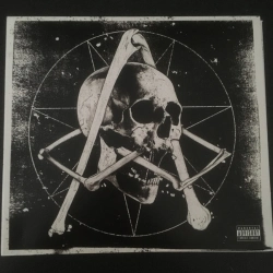 Capa do artigo In Our Wake - CD