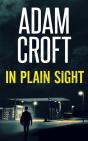 In Plain Sight - Preview