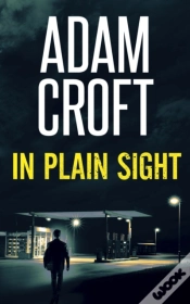 Capa do artigo In Plain Sight