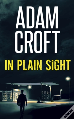 Capa do artigo In Plain Sight