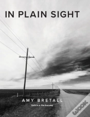 Capa do artigo In Plain Sight