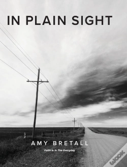 Capa do artigo In Plain Sight