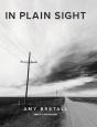 In Plain Sight - Preview