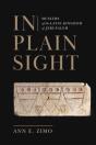 In Plain Sight - Preview
