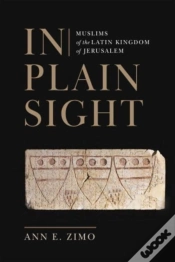 Capa do artigo In Plain Sight
