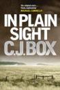 In Plain Sight - Preview