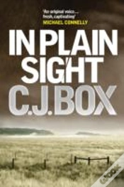 Capa do artigo In Plain Sight
