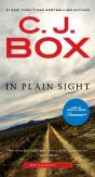 In Plain Sight - Preview
