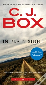 Capa do artigo In Plain Sight