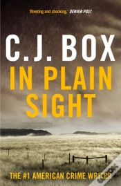 Capa do artigo In Plain Sight