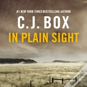 Capa do artigo In Plain Sight