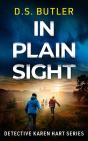 In Plain Sight - Preview