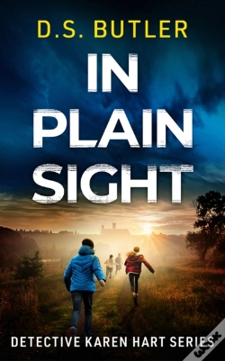 Capa do artigo In Plain Sight