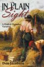 In Plain Sight - Preview
