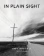 In Plain Sight: Faith Is In The Everyday - Preview