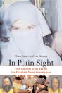In Plain Sight - Preview