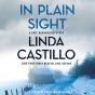 In Plain Sight - Preview