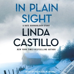 Capa do artigo In Plain Sight