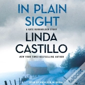 Capa do artigo In Plain Sight