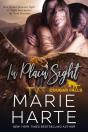 In Plain Sight - Preview
