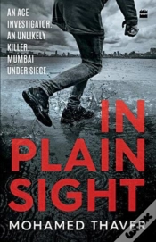 Capa do artigo In Plain Sight