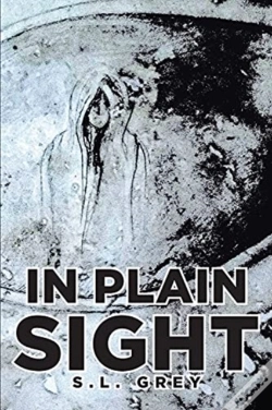 Capa do artigo In Plain Sight
