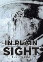 In Plain Sight - Preview