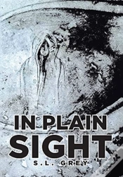 Capa do artigo In Plain Sight