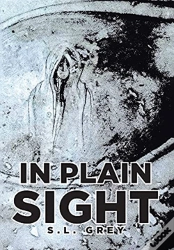 Capa do artigo In Plain Sight