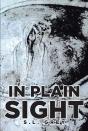 In Plain Sight - Preview