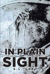 Capa do artigo In Plain Sight