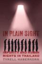In Plain Sight - Preview
