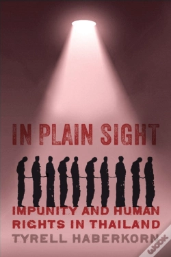 Capa do artigo In Plain Sight