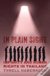 Capa do artigo In Plain Sight