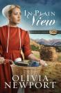 In Plain View - Preview