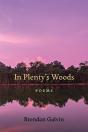 In Plenty'S Woods - Preview