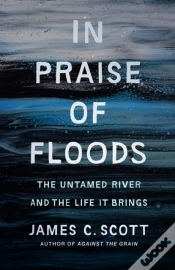 Capa do artigo In Praise Of Floods