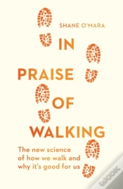 Capa do artigo In Praise Of Walking