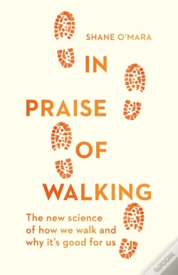 Capa do artigo In Praise Of Walking