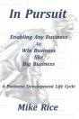 In Pursuit Business Development Life Cycle - Preview