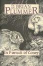 In Pursuit Of Coney - Preview