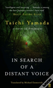 Capa do artigo In Search Of A Distant Voice